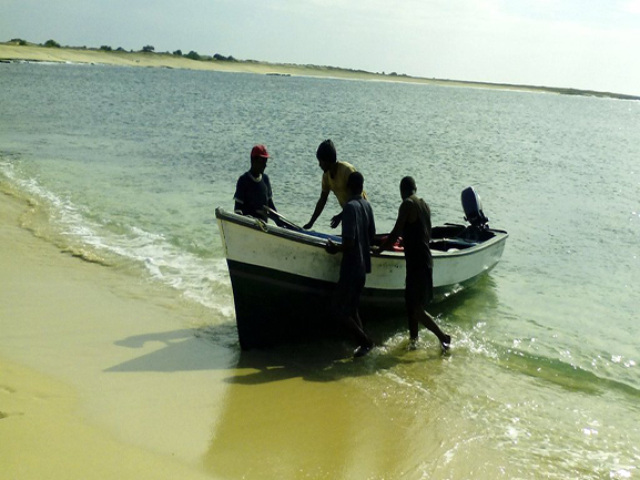 Leia mais sobre o artigo Pescadores e Peixeiras da ilha do Maio recebem formação no manuseamento do pescado.