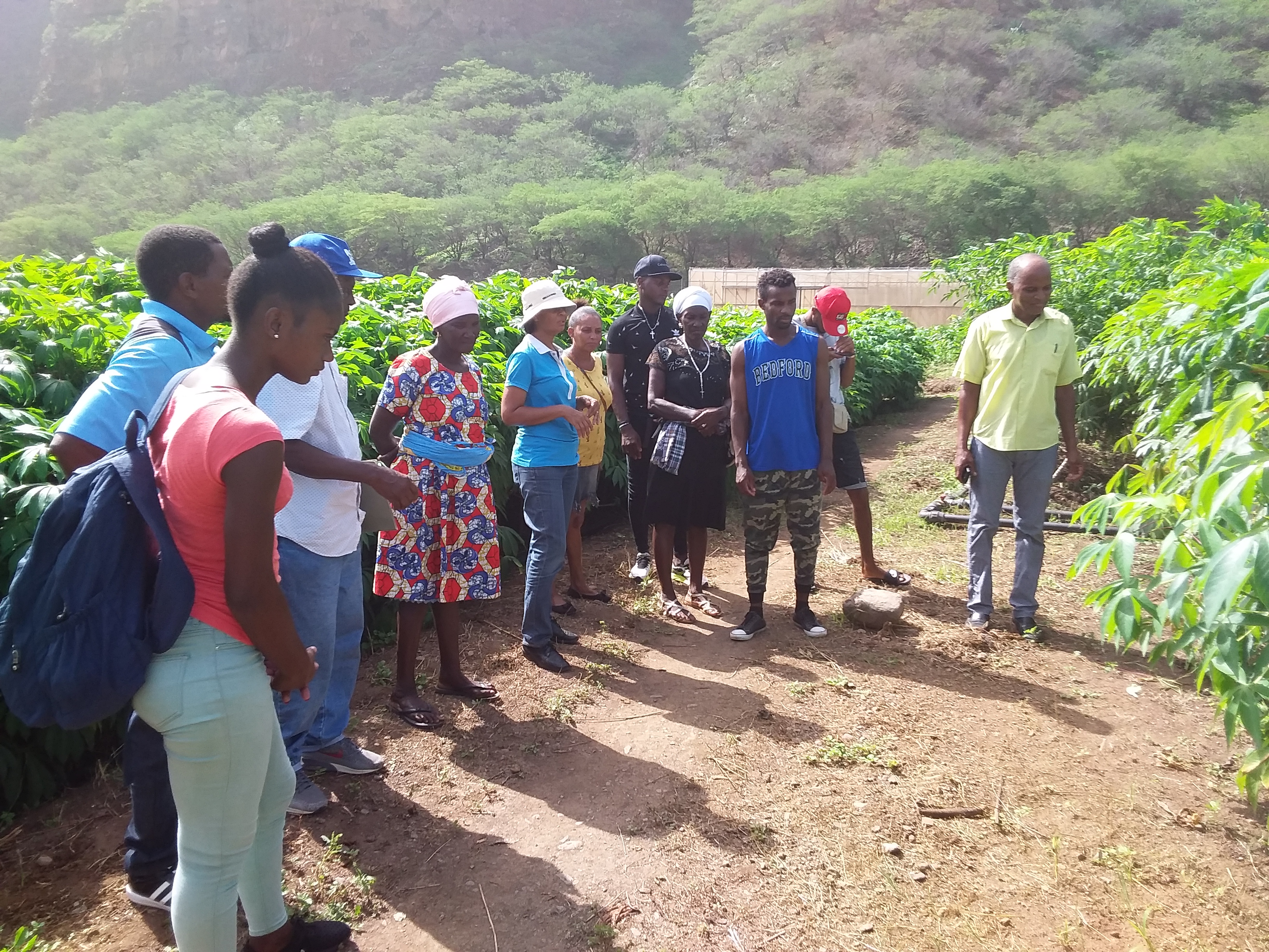 Você está visualizando atualmente Agricultores da comunidade de Moia Moia recebem formação em boas práticas agrícolas para uma agricultura mais resiliente.