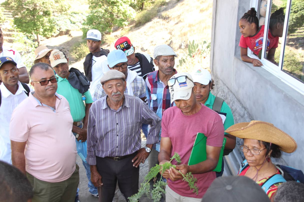 Você está visualizando atualmente Unidade Técnica da Região Santo Antão realiza intercâmbio entre os agricultores beneficiários do POSER.