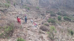 Leia mais sobre o artigo Criação de rendimento para as famílias da bacia do Canto de Fajã através de obras de conservação do solo e água (CSA), no âmbito do projeto POSER-Clima