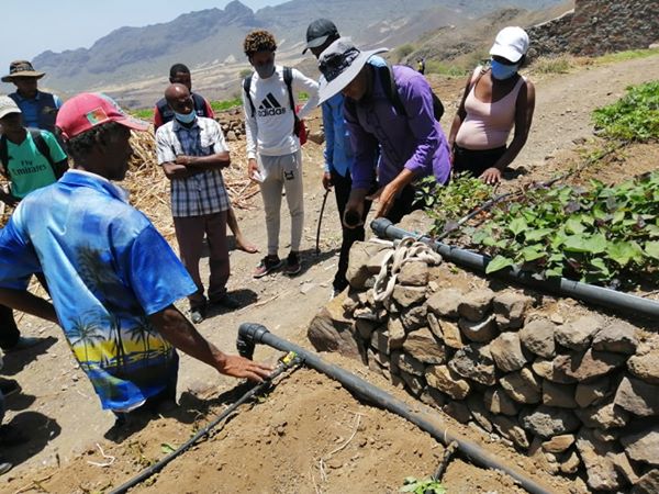 Você está visualizando atualmente Beneficiários do POSER dos projetos agrícolas do Porto Novo recebem Ação de capacitação em irrigação, manuseamento e manutenção de equipamento de rega