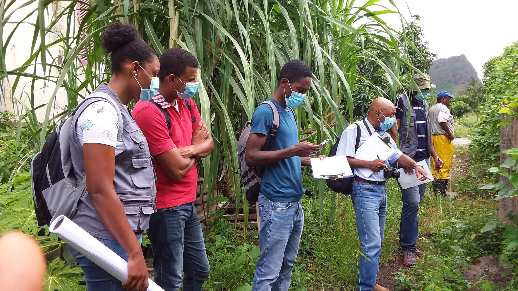 Leia mais sobre o artigo Técnicos da Unidade de Coordenação do POSER realizam visitas de trabalho a ilha de São Nicolau