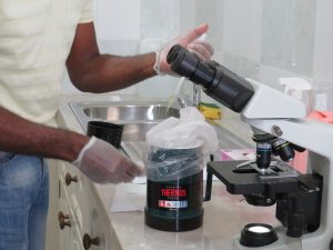Leia mais sobre o artigo São Vicente: A equipa técnica utiliza Inseminação Artificial para a Reprodução de Suínos com melhoramento genético