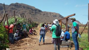 Leia mais sobre o artigo POSER a contribuir para a Organização dos Agricultores em “Grupo de Interesse Económico”.