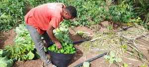 Leia mais sobre o artigo Santiago Norte: Visita de seguimento ao projeto hidroagrícola de Achada Porto -Tarrafal de Santiago