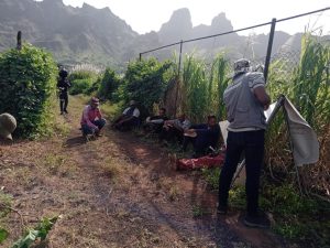 Leia mais sobre o artigo São Nicolau: Beneficiários do projeto hidroagrícola de Praia Branca participam em formação em agroecologia