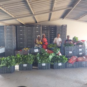 Leia mais sobre o artigo Rede de Produtores de Santiago Sul entregam mais uma leva de produtos às cantinas escolares