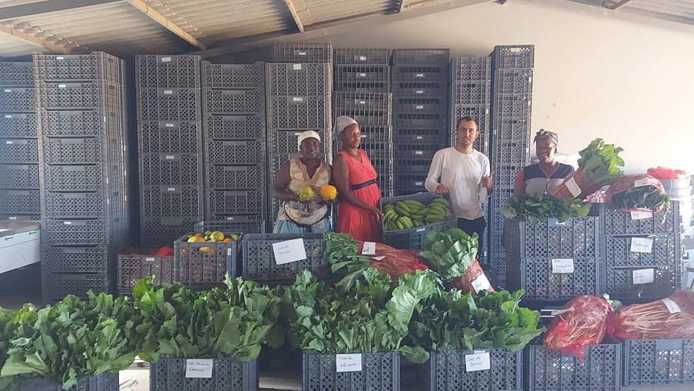 Rede de Produtores de Santiago Sul entregam mais uma leva de produtos às cantinas escolares